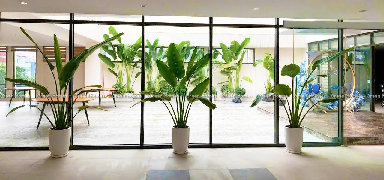 Green Homes thiết kế cây xanh văn phòng cho Hội Liên Hiệp Phụ Nữ